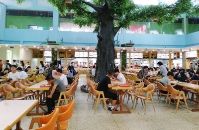 文化市场经营管理（高升专） 聚焦文化经纪人服务