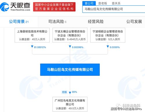 虎牙加码布局内容生态 关联公司入股马鞍山狂鸟文化，聚焦文化经纪人服务
